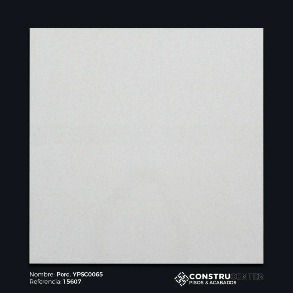 Porc YPSC0065