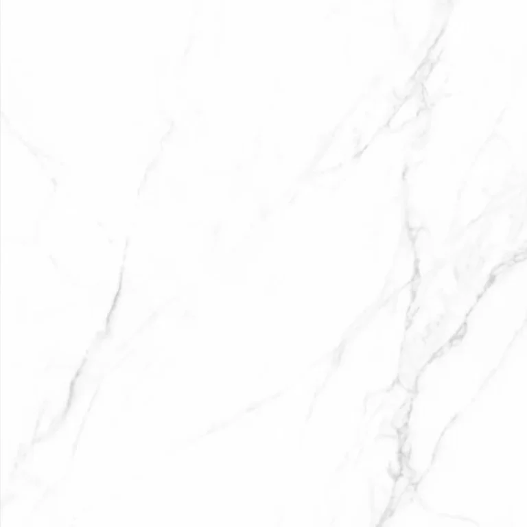 15729 - 1002SV-new